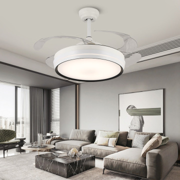 Modern Simple Mute LED Fan Lamps for Bedroom and Restaurant