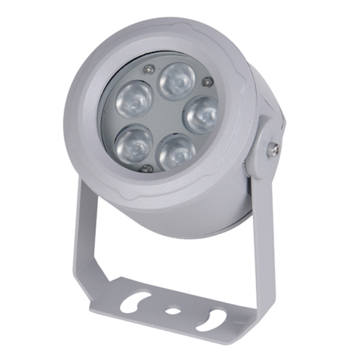 Low voltage outdoor LED flood light