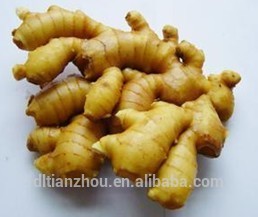 Ginger powder first class factory price wholesale