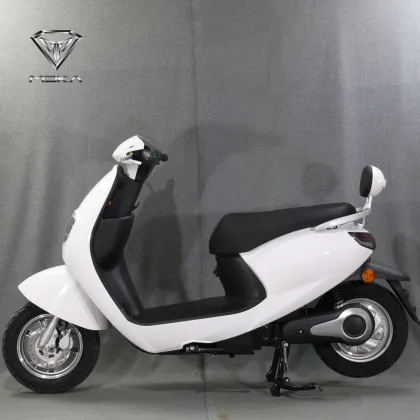 electric motorcycle with disc brakes electric scooter