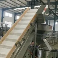 Qingdao Raniche Chicken Feet Cutter for Chicken Abattoir