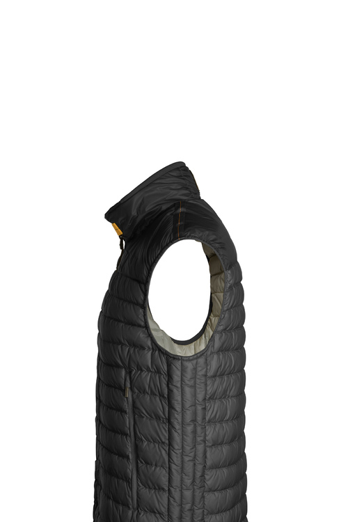 Puffer4 Jpg