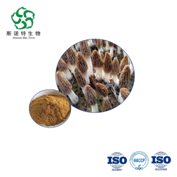 Dictyophora Indusiata Extract Bulkbuy High-Purity Polysaccharides