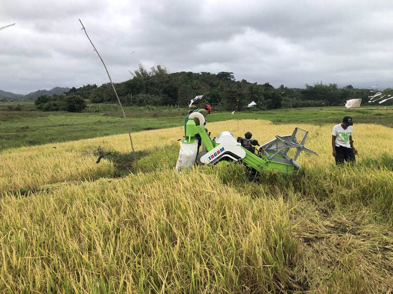 small Paddy harvester