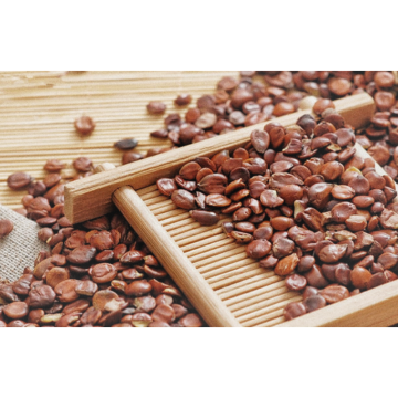 Ziziphus Jujuba Seeds Polvo Ziziphi Seed Extract