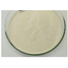 Plant Powder EU Organic White Kidney Beans Extract