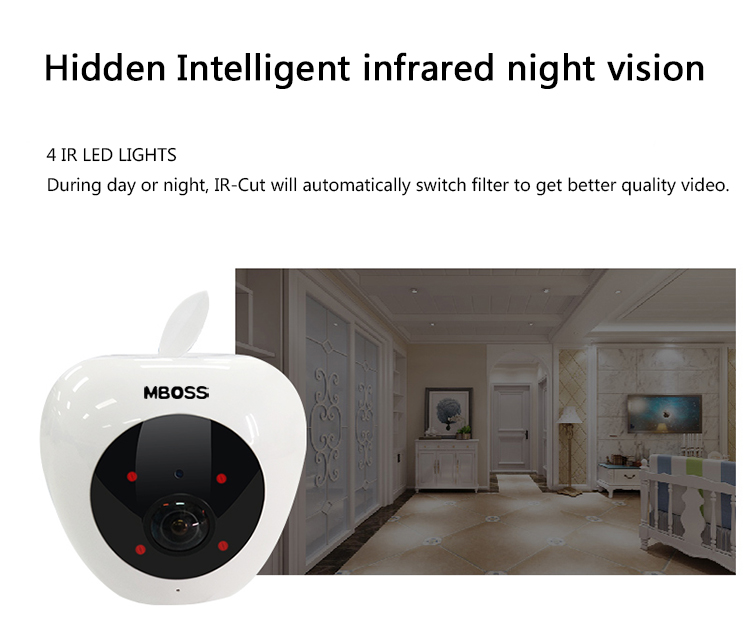home wifi cameras