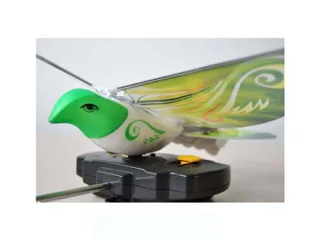 R/C BIRD
