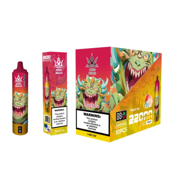 Bang Beach 22000 Puffs Disposable Vape Wholesale France