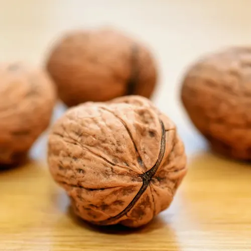 Doğal Kullanıma Yönelik Premium Kağıt Kabuk Ceviz