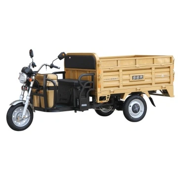 electric cargo trike for sale