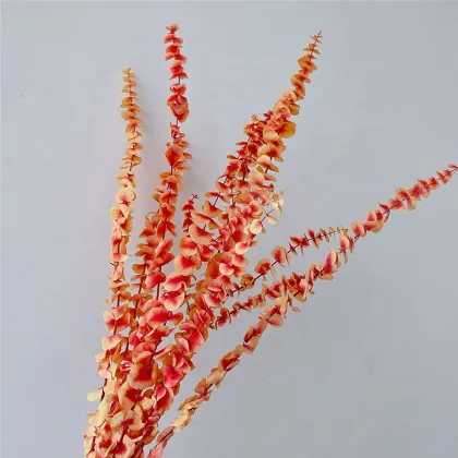 Wholesale Preserved Silver Dollar Leaves for Floral Arrangements