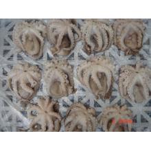 Čerstvě zmrazená květinová chobotnice