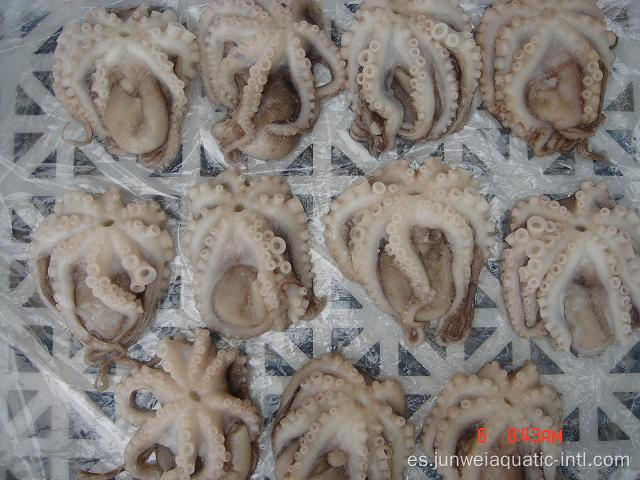 pulpo fresco congelado a la venta