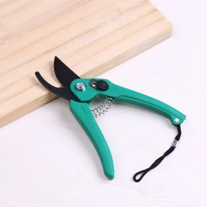 garden fruit tree bypass pruning shears