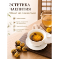 Хризантема Черный чайный шарик