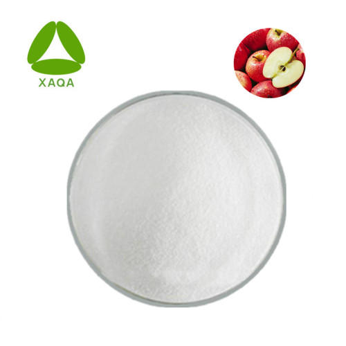 Apple Bark Extract Phlorizin Powder 98%