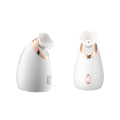 Nano Mist Spray Mini Spa Professional Face Humidifier