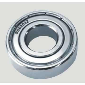 Deep Groove Ball Bearings SS6206