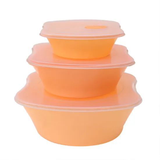 3 PCS Food Container with Cover Fresh Box