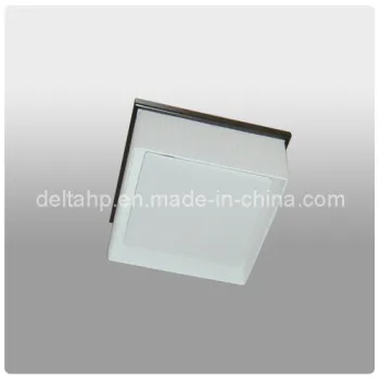 Square Ceiling Lamp for Home Decor (C5006017)