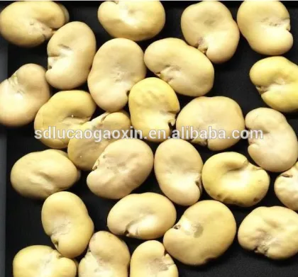 Whole shape output fava beans broad beans peeling machine