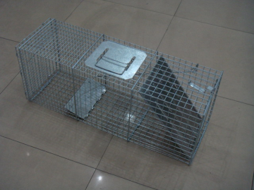 mice trap