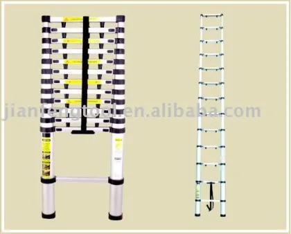 2.6m SCAFFOLD LADDER