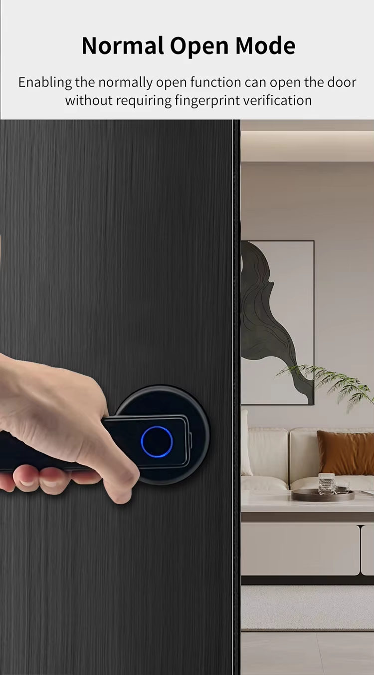 5 Finger print handle door lock