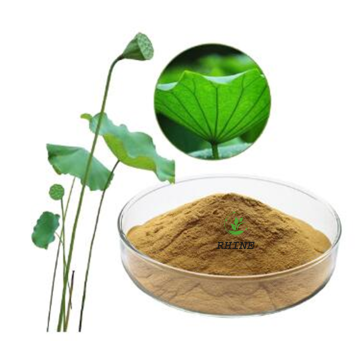 Lotus Blad Extract Nuciferine 2% 98%