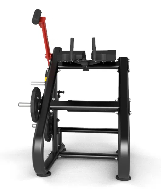 Reverse Hyper Extention Machine