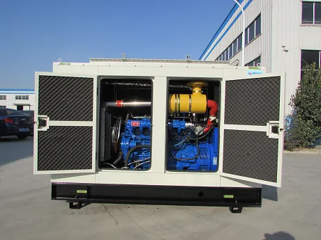 Biomass gas generators and natural gas generator