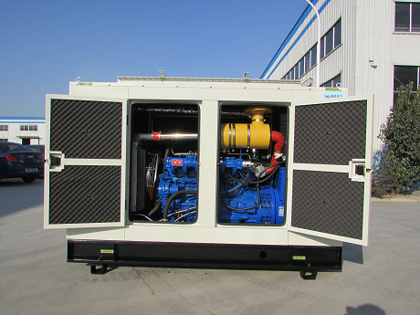 biomass power generation unit