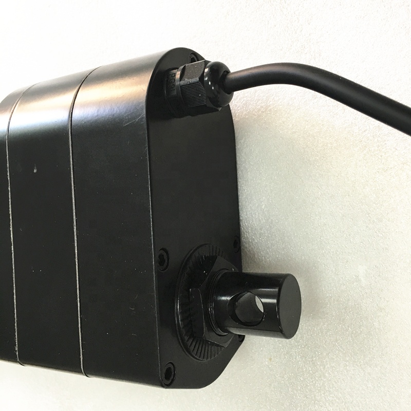6000N Load Linear Actuator