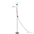 Silver double-headed mother-and-child floor lamp