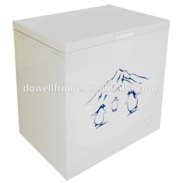 DC solar powered deep freezer 250L for commercial use BD-250