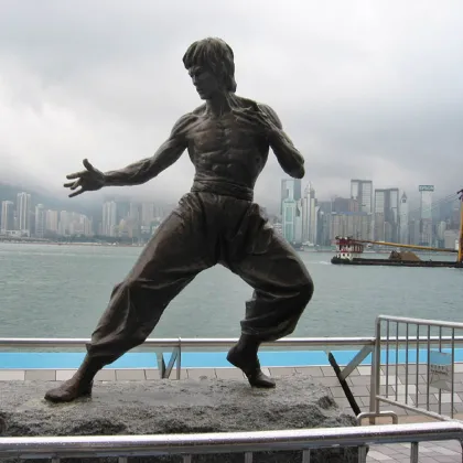 China famous outdoor garden decoration metal craft bronze bruce lee statue