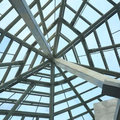 Steel Frame Steel Grid Steel Structure Curtain Wall Skylight