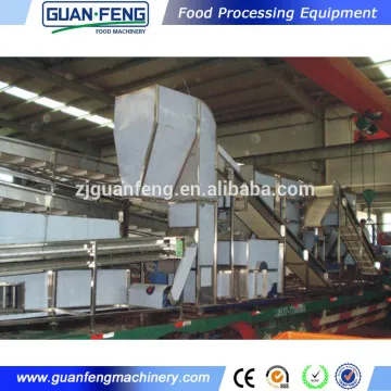Continuous vegetables drying line