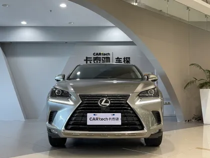 Lexus NX 2020 200 FWD Fengxing