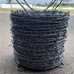 2 point Galvanized Barbed Wire