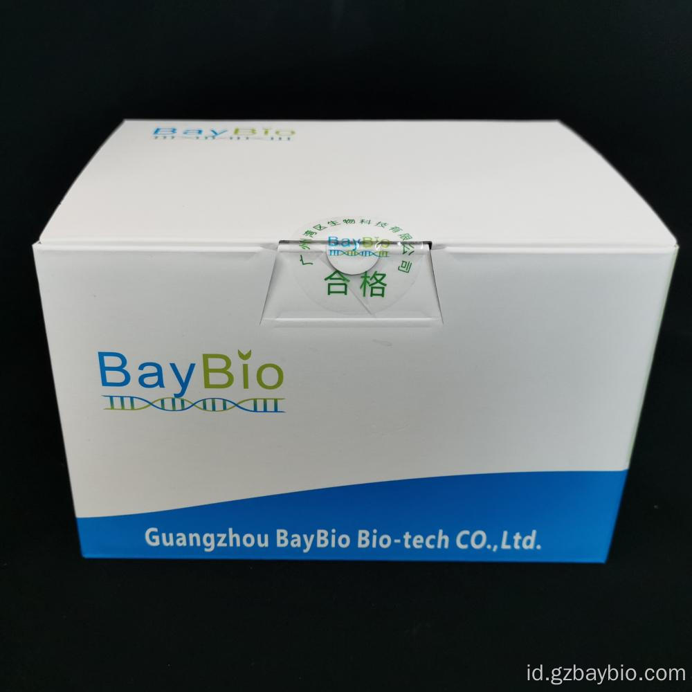 Oral swab DNA baypure magnetic swab DNA kit