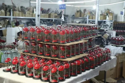 Factory Direct: 2024 Hot Selling Eternal Rose Preserved Flower in Glass Dome