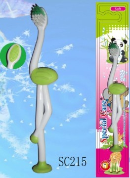 home toothbrush