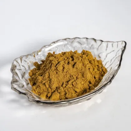 Mu Xiang/Costus Root Extract Powder