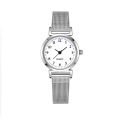 Stock Slim Silver Steel Quartz Watches for women