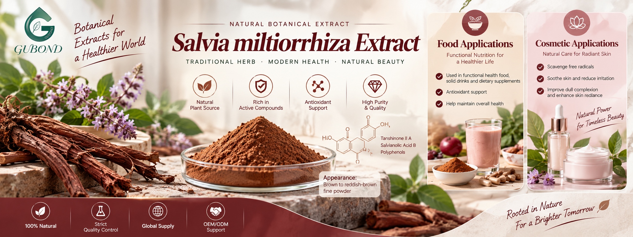 Salvia miltiorrhiza extract