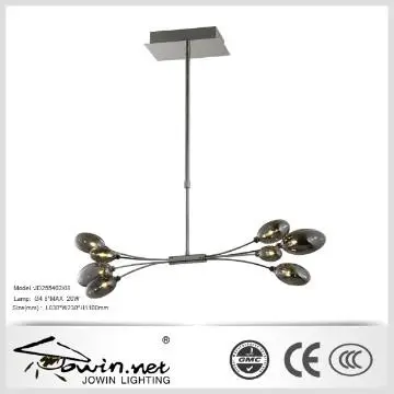 Special Shape Pendant Lighting New Design