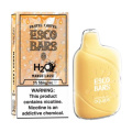 Esco Bars H2O 6000 퍼프 최고의 일회용 vapes