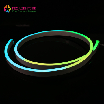 Strip LED Neon LED DMX RGB yang dapat diprogram